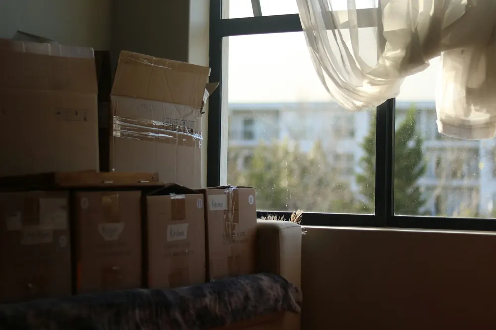 Haushaltsauflösung und Wohnungsauflösung in München: gepackte Kartons in einer hellen Wohnung